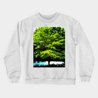 The Big Tree Crewneck Sweatshirt